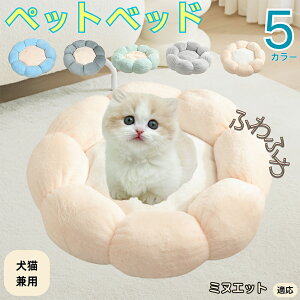 y5{|Cgz~kGbg Minuet ybgxbh Ԍ^  L p 􂦂 ېOK ӂӂ  g ~  v y p q  tďH~  킢 b