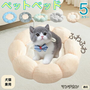 y5{|Cgz}`J Munchkin ybgxbh Ԍ^  L p 􂦂 ېOK ӂӂ  g ~  v y p q  tďH~  킢 