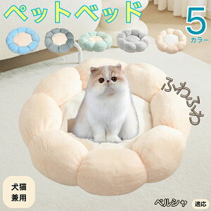 y5{|CgzyV Persian ybgxbh Ԍ^  L p 􂦂 ېOK ӂӂ  g ~  v y p q  tďH~  킢 b