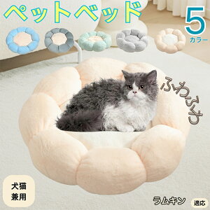 y5{|CgzL Lambkin ybgxbh Ԍ^  L p 􂦂 ېOK ӂӂ  g ~  v y p q  tďH~  킢 b