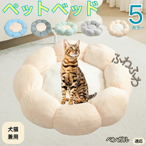 y5{|CgzxK ybgxbh Ԍ^  L p 􂦂 ېOK ӂӂ  g ~  v y p q  tďH~  킢 bNX 