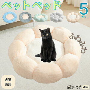 y5{|Cgz{xC Bombay ybgxbh Ԍ^  L p 􂦂 ېOK ӂӂ  g ~  v y p q  tďH~  킢 bN