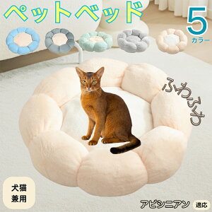 y5{|CgzArVjA Abyssinian ybgxbh Ԍ^  L p 􂦂 ېOK ӂӂ  g ~  v y p q  tďH~  킢 