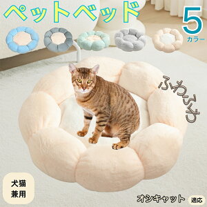 y5{|CgzIVLbg Ocicat ybgxbh Ԍ^  L p 􂦂 ېOK ӂӂ  g ~  v y p q  tďH~  킢 