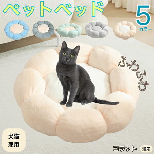 y5{|CgzRbg Korat ybgxbh Ԍ^  L p 􂦂 ېOK ӂӂ  g ~  v y p q  tďH~  킢 bN