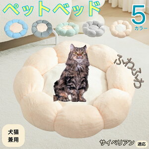 y5{|CgzTCxA Siberian ybgxbh Ԍ^  L p 􂦂 ېOK ӂӂ  g ~  v y p q  tďH~  킢 