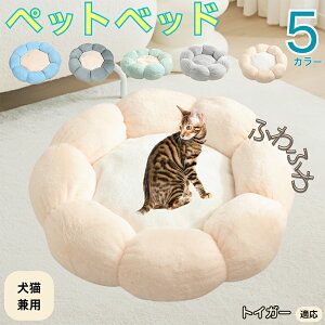 y5{|CgzgCK[ Toyger ybgxbh Ԍ^  L p 􂦂 ېOK ӂӂ  g ~  v y p q  tďH~  킢 bN