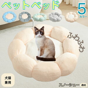 y5{|CgzXm[V[ Snowshoe ybgxbh Ԍ^  L p 􂦂 ېOK ӂӂ  g ~  v y p q  tďH~  킢 