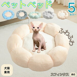 y5{|CgzXtBNX Sphynx ybgxbh Ԍ^  L p 􂦂 ېOK ӂӂ  g ~  v y p q  tďH~  킢 