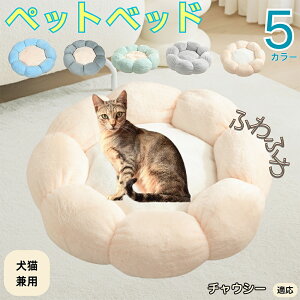 y5{|Cgz`EV[ Chausie ybgxbh Ԍ^  L p 􂦂 ېOK ӂӂ  g ~  v y p q  tďH~  킢 