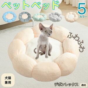 y5{|Cgzf{bNX Devon Rex ybgxbh Ԍ^  L p 􂦂 ېOK ӂӂ  g ~  v y p q  tďH~  킢 