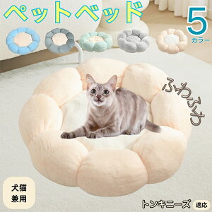 y5{|CgzgLj[Y Tonkinese ybgxbh Ԍ^  L p 􂦂 ېOK ӂӂ  g ~  v y p q  tďH~  킢 