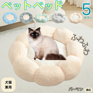 y5{|Cgzo[} Birman ybgxbh Ԍ^  L p 􂦂 ېOK ӂӂ  g ~  v y p q  tďH~  킢 bN