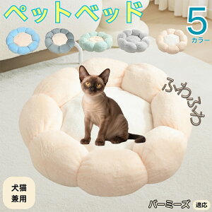 y5{|Cgzo[~[Y Burmese ybgxbh Ԍ^  L p 􂦂 ېOK ӂӂ  g ~  v y p q  tďH~  킢 