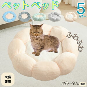 y5{|CgzXN[J Skookum ybgxbh Ԍ^  L p 􂦂 ېOK ӂӂ  g ~  v y p q  tďH~  킢 