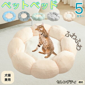 y5{|CgzZQeB Serengeti Cat ybgxbh Ԍ^  L p 􂦂 ېOK ӂӂ  g ~  v y p q  tďH~  킢