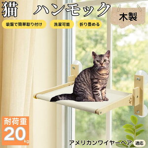 y5{|Cgz AJC[wA American Wirehair Lp zՎ nbN ؃t[ ݂xbh ۃxbh p z ω׏d20kg ܂肽ݎ[ CeA ڂ 