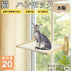 y5{|CgzIG^V[gwA Oriental Shorthair Lp zՎ nbN ؃t[ ݂xbh ۃxbh p z ω׏d20kg ܂肽ݎ[ CeA ڂ 