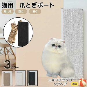 エキゾチックロングヘア Exotic Longhair 壁掛け&床置き兼用 猫用爪とぎボード 両面使用 コーナー保護 耐久タイプ 爪とぎマット ダンボール 縦型 おしゃれ ストレス解消 にゃんネイル 爪研ぎ