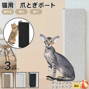 IG^V[gwA Oriental Shorthair Ǌ|up Lp܂Ƃ{[h ʎgp R[i[ی ϋv^Cv ܂Ƃ}bg _{[ c^  XgX ɂlC ܌