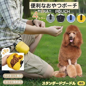 y5{|CgzX^_[hEv[hiStandard Poodlej ybg|[` pg[c|[` p g[jO|[` }OlbgJ ЎŊJ U|[` hbO|[` 