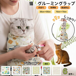 y5{|CgzArVjA AbyssinianL O[~Obv ܐ؂ Œ ے ݂h~ Eh~ PA^I EȒP \Lp ƂȂPA |  