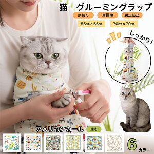 y5{|CgzAJJ[ American CurlL O[~Obv ܐ؂ Œ ے ݂h~ Eh~ PA^I EȒP \Lp ƂȂPA | 