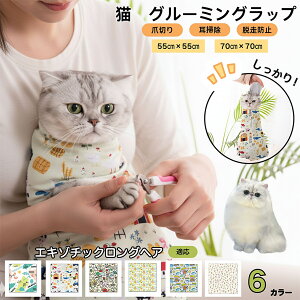 y5{|CgzGL]`bNOwA Exotic LonghairL O[~Obv ܐ؂ Œ ے ݂h~ Eh~ PA^I EȒP \Lp ƂȂPA 