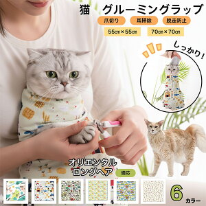 y5{|CgzIG^OwA Oriental Longhair L O[~Obv ܐ؂ Œ ے ݂h~ Eh~ PA^I EȒP \Lp ƂȂP