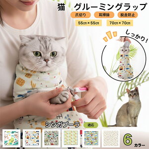 y5{|CgzVKv[ Singapura L O[~Obv ܐ؂ Œ ے ݂h~ Eh~ PA^I EȒP \Lp ƂȂPA |  