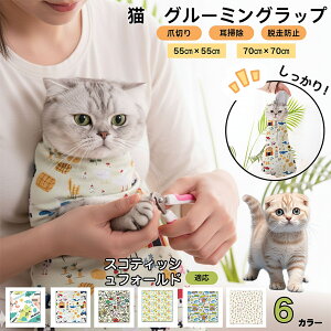 y5{|CgzXReBbVtH[h XR Scottish Fold L O[~Obv ܐ؂ Œ ے ݂h~ Eh~ PA^I EȒP \Lp ƂȂ