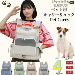 y5{|CgzWbNEbZEeA (Jack Russell Terrier) ybgL[ bN ʋCQ bV\ yʐ݌v ^ Lp яoh~ ܂肽ݎ[ h  @\ K