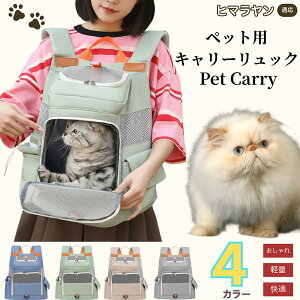 y5{|Cgzq} q}Lbg Himalayan ybgL[ bN ʋCQ bV\ yʐ݌v ^ Lp яoh~ ܂肽ݎ[ h  @\ K݌v 