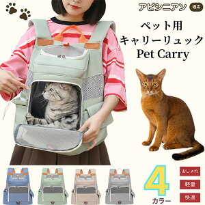 y5{|CgzArVjA Abyssinian ybgL[ bN ʋCQ bV\ yʐ݌v ^ Lp яoh~ ܂肽ݎ[ h  @\ K݌v ʉ@ s ] 