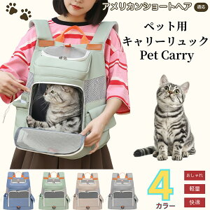 AJV[gwA American Shorthair ybgL[ bN ʋCQ bV\ yʐ݌v ^ Lp яoh~ ܂肽ݎ[ h  @\ K݌v ʉ@ s ] 