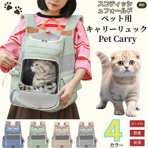 y5{|CgzXReBbVtH[h XR Scottish Fold ybgL[ bN ʋCQ bV\ yʐ݌v ^ Lp яoh~ ܂肽ݎ[ h  @\ K