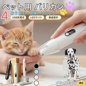 y5{|Cgz_VAiDalmatianjybgpoJ  L  PA ڂ̎ ܂ ~joJ Jbgp g~O doJ юΉ USB[d É݌v LED