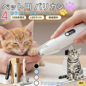 AJV[gwA American ShorthairybgpoJ  L  PA ڂ̎ ܂ ~joJ Jbgp g~O doJ юΉ USB[d É݌v LEDC