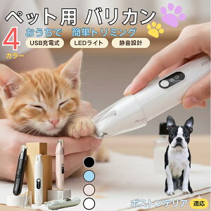 y5{|Cgz{XgeAiBoston TerrierjybgpoJ  L  PA ڂ̎ ܂ ~joJ Jbgp g~O doJ юΉ USB[d É݌v