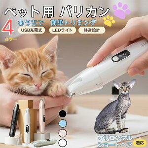 y5{|CgzIG^V[gwA Oriental ShorthairybgpoJ  L  PA ڂ̎ ܂ ~joJ Jbgp g~O doJ юΉ USB[d