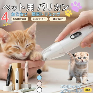 y5{|CgzXReBbVtH[h XR Scottish Fold ybgpoJ  L  PA ڂ̎ ܂ ~joJ Jbgp g~O doJ юΉ USB[