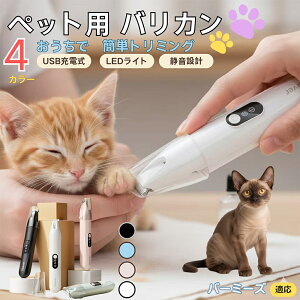 o[~[Y Burmese ybgpoJ  L  PA ڂ̎ ܂ ~joJ Jbgp g~O doJ юΉ USB[d É݌v LEDCgt ybgO[