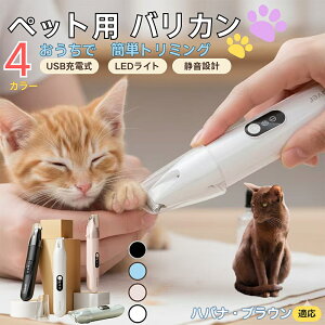 y5{|CgznoiEuE Havana BrownybgpoJ  L  PA ڂ̎ ܂ ~joJ Jbgp g~O doJ юΉ USB[d É݌v LED