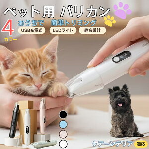 y5{|CgzPA[eAiCairn TerrierjybgpoJ  L  PA ڂ̎ ܂ ~joJ Jbgp g~O doJ юΉ USB[d É݌v 