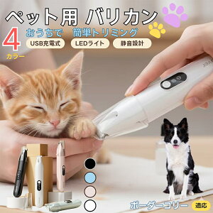 y5{|Cgz{[_[ER[iBorder ColliejybgpoJ  L  PA ڂ̎ ܂ ~joJ Jbgp g~O doJ юΉ USB[d É