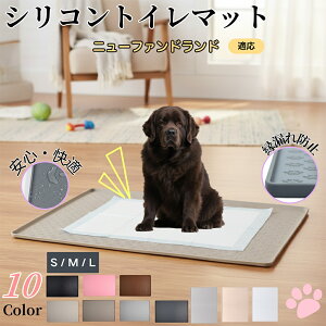 y5{|Cgzj[t@hhiNewfoundlandjybggC}bg VR h ~ 􂦂  L ^ ^ ybgV[gh~ g[p t[Oی 