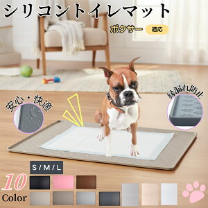 y5{|Cgz{NT[iBoxerjybggC}bg VR h ~ 􂦂  L ^ ^ ybgV[gh~ g[p t[Oی LPA 