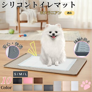 y5{|Cgz|jAybggC}bg VR h ~ 􂦂  L ^ ^ ybgV[gh~ g[p t[Oی LPA Ή 