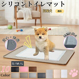 y5{|CgzăybggC}bg VR h ~ 􂦂  L ^ ^ ybgV[gh~ g[p t[Oی LPA Ή 