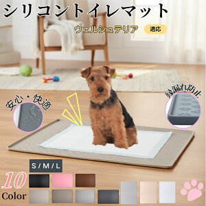 y5{|CgzEFVeAiWelsh TerrierjybggC}bg VR h ~ 􂦂  L ^ ^ ybgV[gh~ g[p t[Oی L